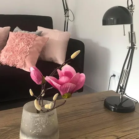 Apartament Matejki Ii - Unique *